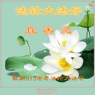 ֹ,ʡ󷨵ӹ編ִʦ𻪵(20)
