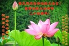 ֹ,󷨵ӹ編ִʦ𻪵(23)
