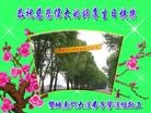 ֹ,󷨵ӹ編ִʦ𻪵(21)
