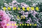 ֹ,Ĵ󷨵ӹ編ִʦ𻪵(24)
