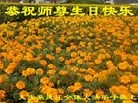 ֹ,󷨵ӹ編ִʦ𻪵(18)
