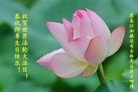 ֹ,󷨵ӹ編ִʦ𻪵(22)
