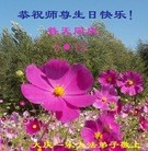 ֹ,󷨵ӹ編ִʦ𻪵(18)
