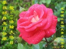 ֹ,ɶ󷨵ӹ編ִʦ𻪵(27)
