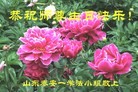 ֹ,ɽ󷨵ӹ編ִʦ𻪵(25)
