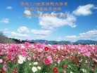 ֹ,ɶ󷨵ӹ編ִʦ𻪵(27)
