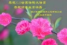 ֹ,ɶ󷨵ӹ編ִʦ𻪵(27)
