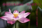 ֹ,Ĵ󷨵ӹ編ִʦ𻪵(24)
