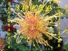 ֹ,󷨵ӹ編ִʦ𻪵(21)
