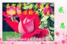 ֹ,󷨵ӹ編ִʦ𻪵(21)

