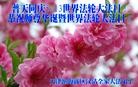 ֹ,󷨵ӹ編ִʦ𻪵(23)
