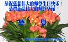 ֹ,󷨵ӹ編ִʦ𻪵(23)
