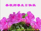 ֹ,󷨵ӹ編ִʦ𻪵(19)
