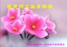 ֹ,󷨵ӹ編ִʦ𻪵(19)
