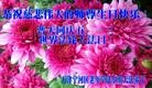 ֹ,󷨵ӹ編ִʦ𻪵(23)

