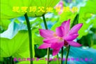 ֹ,󷨵ӹ編ִʦ𻪵(19)
