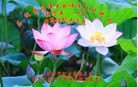 ֹ,󷨵ӹ編ִʦ𻪵(23)
