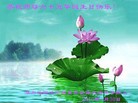 ֹ,ϴ󷨵ӹ編ִʦ𻪵(23)
