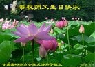 ֹ,󷨵ӹ編ִʦ𻪵(26)
