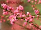 ֹ,󷨵ӹ編ִʦ𻪵(22)
