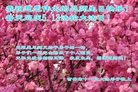 ֹ,д󷨵ӹ編ִʦ𻪵(23)
