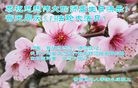 ֹ,д󷨵ӹ編ִʦ𻪵(23)
