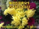 ֹ,󷨵ӹ編ִʦ𻪵(21)
