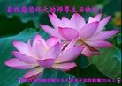 ֹ,󷨵ӹ編ִʦ𻪵(21)
