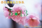 ֹ,д󷨵ӹ編ִʦ𻪵(24)
