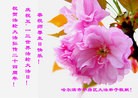 ֹ,󷨵ӹ編ִʦ𻪵(21)
