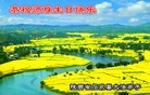 ֹ,󷨵ӹ編ִʦ𻪵(24)
