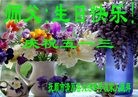ֹ,󷨵ӹ編ִʦ𻪵(23)
