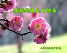 ֹ,󷨵ӹ編ִʦ𻪵(23)
