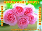 ֹ,󷨵ӹ編ִʦ𻪵(21)
