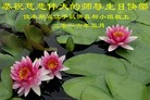 ֹ,ľ˹󷨵ӹ編ִʦ𻪵(19)
