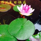 ֹ,ľ˹󷨵ӹ編ִʦ𻪵(18)
