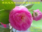 ֹ,ľ˹󷨵ӹ編ִʦ𻪵(18)
