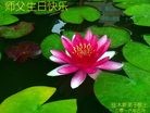 ֹ,ľ˹󷨵ӹ編ִʦ𻪵(18)
