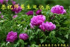 ֹ,ľ˹󷨵ӹ編ִʦ𻪵(18)
