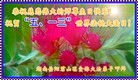ֹ,ϴ󷨵ӹ編ִʦ𻪵(20)
