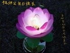 ֹ,ʡ󷨵ӹ編ִʦ𻪵(26)
