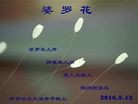 ֹ,󷨵ӹ編ִʦ𻪵(22)

