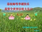 ֹ,ɹŴ󷨵ӹ編ִʦ𻪵(19)
