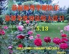 ֹ,ɹŴ󷨵ӹ編ִʦ𻪵(19)
