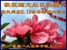 ֹ,󷨵ӹ編ִʦ𻪵(26)
