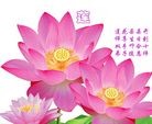 ֹ,󷨵ӹ編ִʦ𻪵(23)
