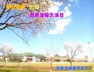 ֹ,ʡ󷨵ӹ編ִʦ𻪵(23)
