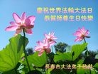 ֹ,ʡ󷨵ӹ編ִʦ𻪵(23)
