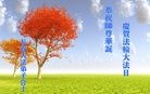 ֹ,ʡ󷨵ӹ編ִʦ𻪵(23)
