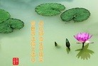 ֹ,ʡ󷨵ӹ編ִʦ𻪵(23)
